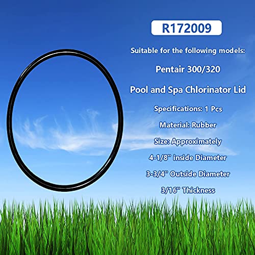 R172009 O-283 O-Ring Replacement for Pentair Model 320/322 Pool and Spa Chlorinator Lid