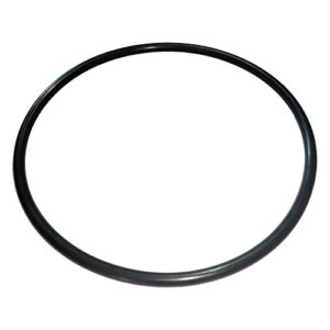 350013 O-Ring For WhisperFlo and IntelliFlo Pump Trap Lid (1/Pack)