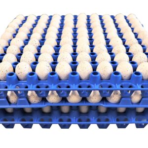 6 RITE FARM PRODUCTS 90 Egg Plastic Trays for Quail Pigeon Dove Bird Flat Carton