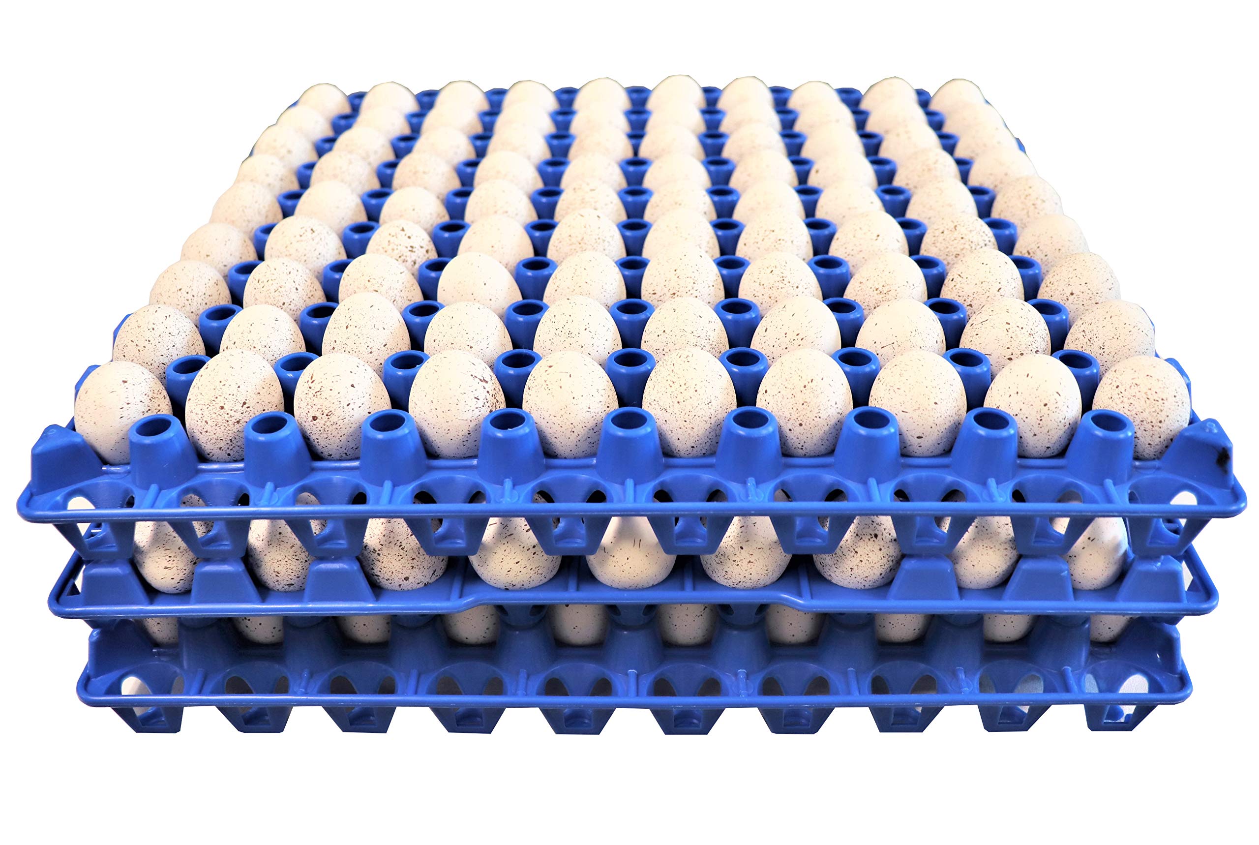6 RITE FARM PRODUCTS 90 Egg Plastic Trays for Quail Pigeon Dove Bird Flat Carton