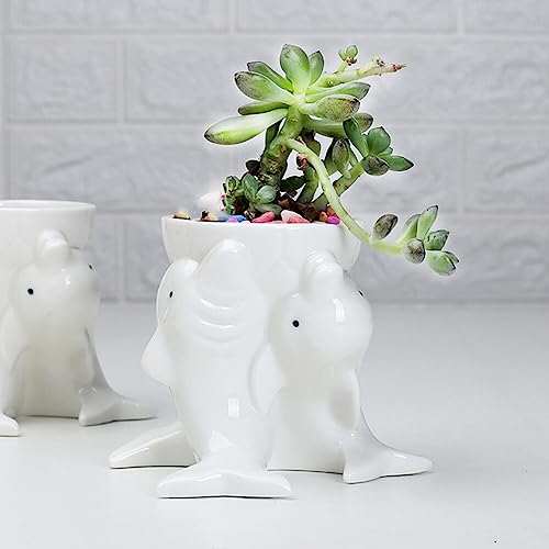 Hemoton Cute Succulent Planter, Ceramic Animal Dolphin Plant Pots with Drainage Hole, Planters for Indoor Plants Succulents