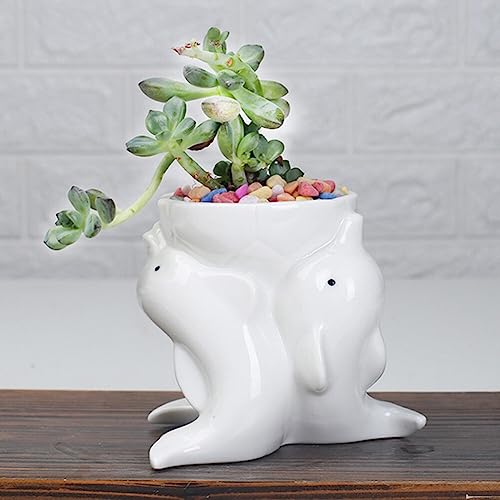 Hemoton Cute Succulent Planter, Ceramic Animal Dolphin Plant Pots with Drainage Hole, Planters for Indoor Plants Succulents