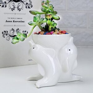 Hemoton Cute Succulent Planter, Ceramic Animal Dolphin Plant Pots with Drainage Hole, Planters for Indoor Plants Succulents