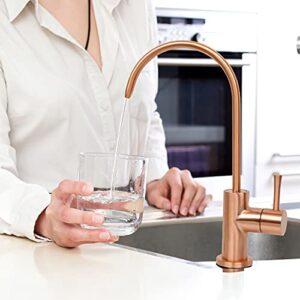 One-Handle Black and Rose Gold Drinking Water Filter Faucet Water Purifier Faucet (Copper)