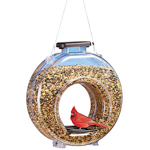 Collections Etc Clear Canteen Style Fly Through Bird Feeder | See Through Design | Two Feeding Stations | Top Fill Feeder | Wire Hanger Included | Double Perch | Plastic