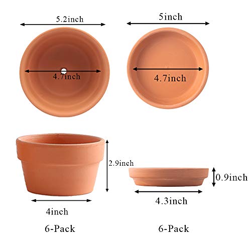 Yishang 5 Inch Shallow Terracotta Clay pots with Drain Hole,Ceramic Plant pots for Indoor/Outdoor Plants,Unglazed Bonsai Planter with Saucer/Tray for Cacuts/Succulent Plants