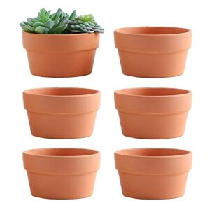 yishang 6 inch terracotta shallow planters,ceramic flower clay plant pots with drainage hole,unglazed cactus/succlent plant containers indoor garden bonsai pots
