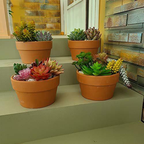 Yishang 6 Inch Terracotta Shallow Planters,Ceramic Flower Clay Plant Pots with Drainage Hole,Unglazed Cactus/succlent Plant Containers Indoor Garden Bonsai Pots