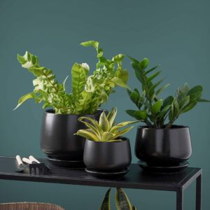 LE TAUCI Plant Pots, 4.1+5.1+6.5 inch, Set of 3, Ceramic Planters with Drainage Hole and Saucer, Indoor Flower Pot with Hole Mesh Pad, Gifts for Mom, Black