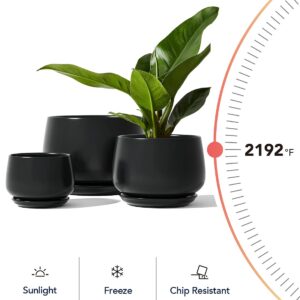 LE TAUCI Plant Pots, 4.1+5.1+6.5 inch, Set of 3, Ceramic Planters with Drainage Hole and Saucer, Indoor Flower Pot with Hole Mesh Pad, Gifts for Mom, Black