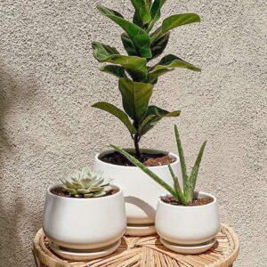 LE TAUCI Ceramic Plant Pots, 4.1+5.1+6.5 inch, Set of 3, Planters with Drainage Hole and Saucer, Indoor Flower Pot with Hole Mesh Pad, Gifts for Mom, White