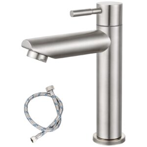 heyalan cold water only bathroom sink faucet stainless steel sus304 brushed nickel single handle one hole deck mount lavatory faucet (drain not included)