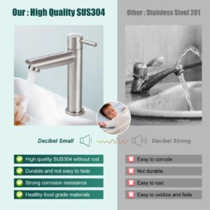 Heyalan Cold Water Only Bathroom Sink Faucet Stainless Steel SUS304 Brushed Nickel Single Handle One Hole Deck Mount Lavatory Faucet (Drain Not Included)