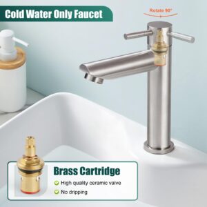 Heyalan Cold Water Only Bathroom Sink Faucet Stainless Steel SUS304 Brushed Nickel Single Handle One Hole Deck Mount Lavatory Faucet (Drain Not Included)