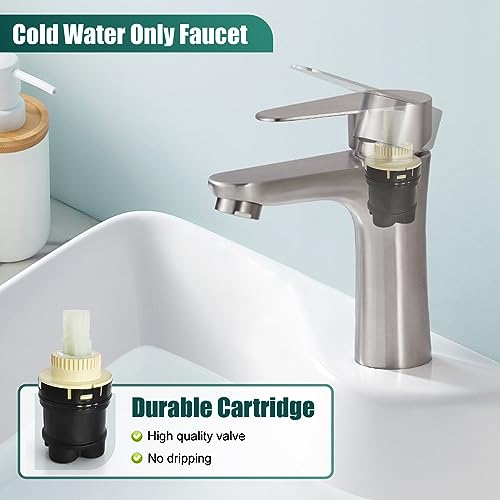 Heyalan Brushed Nickel Bathroom Faucet Cold Water Only SUS304 Stainless Steel Single Handle One Hole Deck Mounted Lavatory Tap Single Switch (Drain not Included)