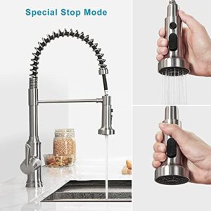 Kitchen Faucet with Pull Down Sprayer Spring Brushed Nickel Commercial Single Handle Gooseneck Stainless Steel Pull Out Kitchen Sink Faucet Wasserrhythm