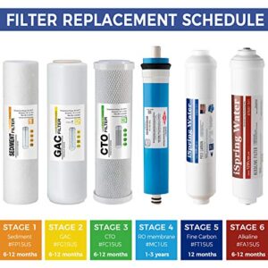 iSpring F19K100US Standard 6-Stage Reverse Osmosis RO Systems 2-Year Replacement Cartridge Pack Set, with Alkaline Mineralization, pH+, 10" X 2.5", Made in USA