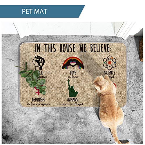 Artoid Mode in This House We Believe Decorative Doormat, Seasonal LGBT Science Feminism Humans Kindness Low-Profile Floor Mat Switch Mat for Indoor Outdoor 17 x 29 Inch