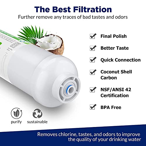 50 GPD RO Membrane and 2x T33 Inline Carbon Filters by Membrane Solutions