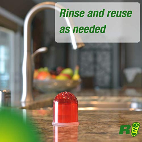 RESCUE! Fruit Fly Trap – Reusable, Includes Liquid Bait Attractant - 3 Pack (3 Traps)