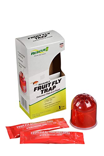 RESCUE! Fruit Fly Trap – Reusable, Includes Liquid Bait Attractant - 3 Pack (3 Traps)
