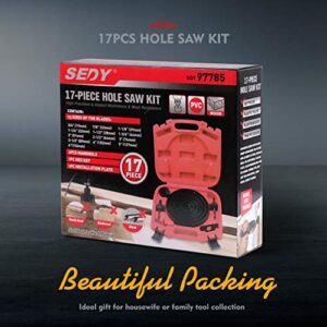 SEDY Hole Saw Kit, 19-Pieces Hole Saw Set with Red Case Include 13pc 3/4"-6"(19-152mm) Saw Blades, 2 Mandrels, 2 Drill Bits, 1 Installation Plate, 1 Hex Key, Ideal for Soft Wood, Plywood, Drywall, PVC