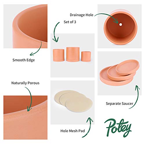 POTEY Terracotta Planter with Drainage Hole and Saucer - 6 Inch 5 Inch 4 Inch Indoor Cylindrical Plants Flower Containers Unglazed Clay Pots - Set of 3, 222231