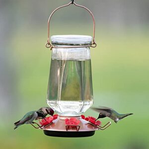 Perky-Pet Perky Pet 9109-1SR Crystal Top-Fill Glass Hummingbird Feeder – 28 oz, Bronze