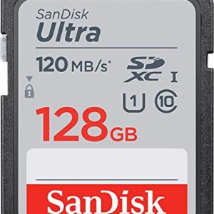 SanDisk SDXC Ultra 128GB Memory Card for Camera Panasonic Lumix Works with G7, GX85, GX80, GX7 Mark II, DC-G100, DC-G110 (SDSDUN4-128G-GN6IN) Bundle with (1) Everything But Stromboli SD Card Reader