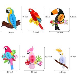 KESOTE 6 Pieces Hawaiian Tropical Parrot Bird Honeycomb Hanging Party Decorations, Summer Tiki Bar Party Decor, Rainforest Decorations Garden Yard Room Decor