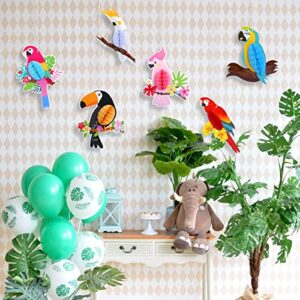 KESOTE 6 Pieces Hawaiian Tropical Parrot Bird Honeycomb Hanging Party Decorations, Summer Tiki Bar Party Decor, Rainforest Decorations Garden Yard Room Decor