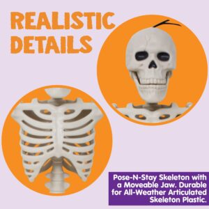 JOYIN Posable Halloween Skeletons, Full Body Posable Joints Skeletons 5 Packs for Halloween Decoration, Graveyard Decorations, Haunted House Accessories, Indoor/Outdoor Spooky Scene Party Favors