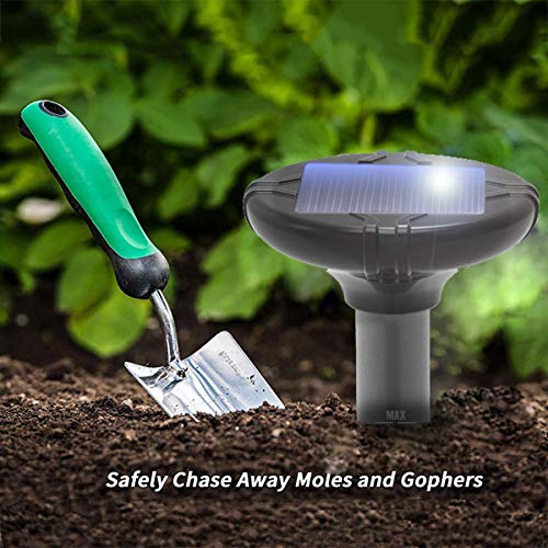 Winpest Solar Powered Snake Repellent for Yard, Snake Away Repellent Safe for Dogs, Get Rid of Snakes Snake Gone - 2 Pack