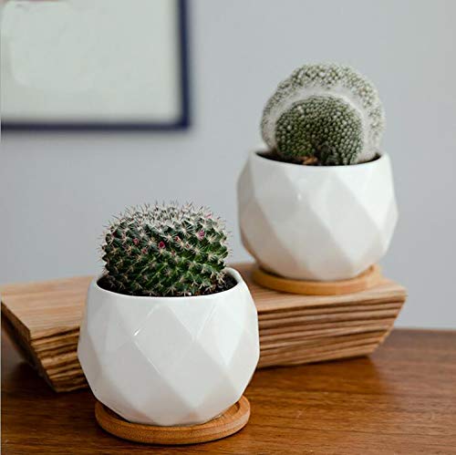 Jucoan 6 Pack Ceramic Succulent Planter Pot with Bamboo Tray, 4 Inches Small White Diamond Shaped Cactus Herb Flowers Planter with Drainage Hole