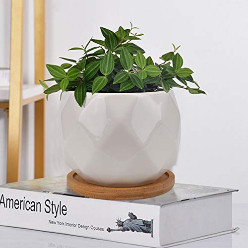 Jucoan 6 Pack Ceramic Succulent Planter Pot with Bamboo Tray, 4 Inches Small White Diamond Shaped Cactus Herb Flowers Planter with Drainage Hole