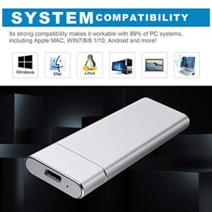 External Hard Drive, Portable, USB 3.0 1TB 2TB HDD Type C Data Storage Slim Compatible with PC, Laptop and Mac (2TB, Silver)