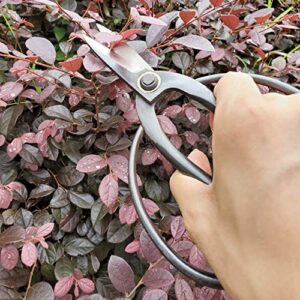Gonicc 8" Professional SK-5 Steel Blade Anvil Pruning Shears(GPPS-1010) and 7.3" Bonsai Scissors(GPPS-1012), Cushion and shock absorber design, Ergonomically Design Handle.