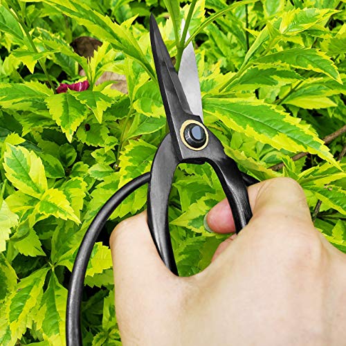 Gonicc 8" Professional SK-5 Steel Blade Anvil Pruning Shears(GPPS-1010) and 7.3" Bonsai Scissors(GPPS-1012), Cushion and shock absorber design, Ergonomically Design Handle.