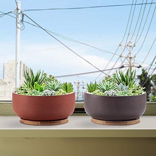 EPFamily Terracotta Shallow Succulent Planter, 8 Inch Planter Pot with Bamboo Tray, Clay Flower Pot Indoor and Outdoor Planter with Drainage Hole, Terracotta