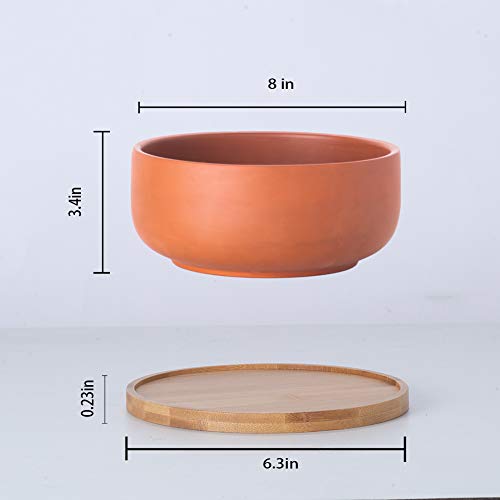 EPFamily Terracotta Shallow Succulent Planter, 8 Inch Planter Pot with Bamboo Tray, Clay Flower Pot Indoor and Outdoor Planter with Drainage Hole, Terracotta