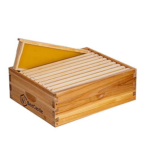 BeeCastle 10 Frame Medium Super Bee Hive Box, Langstroth Honey Bee Hive Dipped in 100% Beeswax Include Beehive Frames and Wax Foundations (Unassembled)