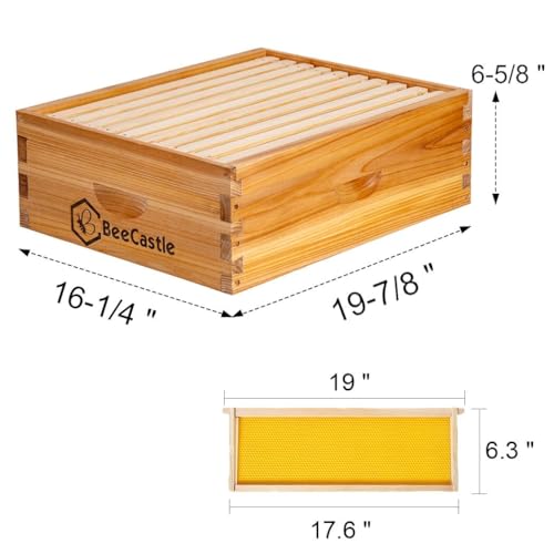 BeeCastle 10 Frame Medium Super Bee Hive Box, Langstroth Honey Bee Hive Dipped in 100% Beeswax Include Beehive Frames and Wax Foundations (Unassembled)