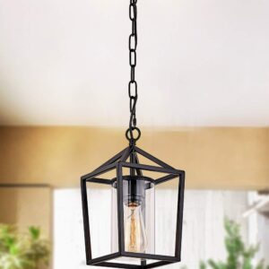 Capslpad Outdoor Pendant Light for Porch,1-Light Modern Metal Vintage Cage Hanging Lantern Light Adjustable Pendant Light Fixtures with Glass Shade for Porch,Entryway,Doorway,Farmhouse,Foyer