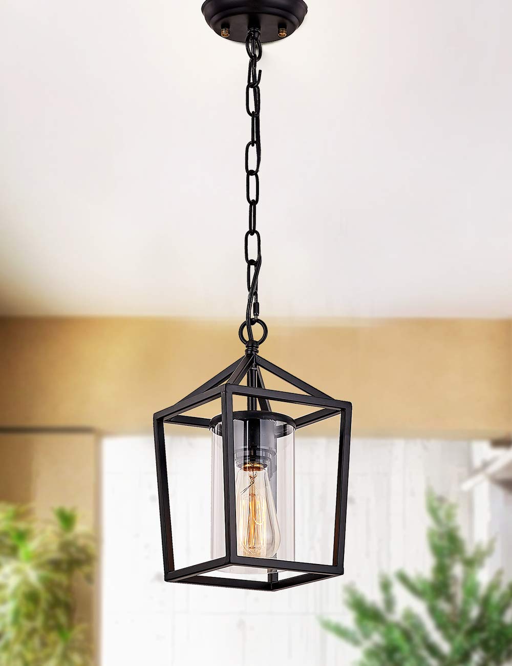 Capslpad Outdoor Pendant Light for Porch,1-Light Modern Metal Vintage Cage Hanging Lantern Light Adjustable Pendant Light Fixtures with Glass Shade for Porch,Entryway,Doorway,Farmhouse,Foyer