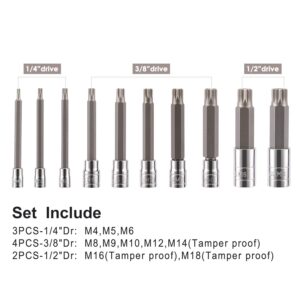 CASOMAN 10 Piece Spline Tip Bit Socket Set, M-Type, S2 and Cr-V Steel, Extra Long 4'' Length, M4-M18, XZN Triple Square Spline Bit Socket Set