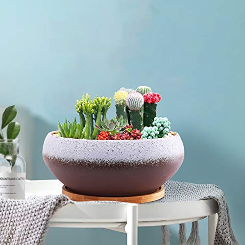 EPFamily 8 Inch Ceramic Round Succulent Planter with Drainage Hole and Bamboo Tray, Modern Large Flower Pot for Herb Garden Bonsai Planting