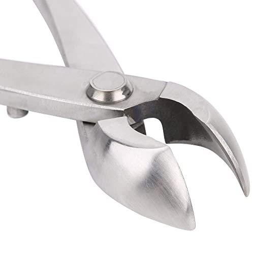 Knob Cutter Bonsai Cutter Oblique Pliers Composite Steel Cutter Concave Cutter Round Splitter Bonsai Scissors(205mm)