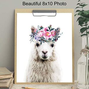 Baby Llama Wall Decor - Flower Crown Alpaca Wall Art Decoration for Girls Bedroom, Kids Room, Nursery - Cute Gift - Boho Shabby Chic Picture - 8x10 UNFRAMED Photo Poster