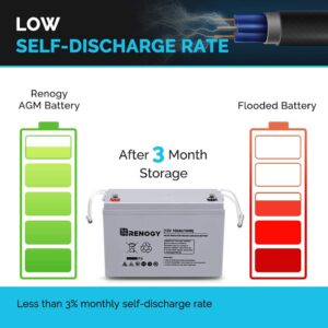 Renogy Deep Cycle AGM Battery 12 Volt 100Ah for RV, Solar Marine and Off-grid Applications & Solar Panel Connector Assembly Tool