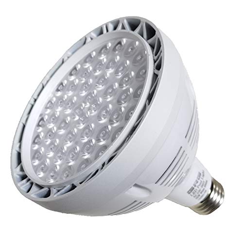 GRG LED Pool Light Bulb for Inground Swimming Pool,120V 65W 6000K White Color Led Light Bulb,Replaces up to 200-800W Traditional Bulb for Pentair Hayward Underwater LED Pool Light Fixture